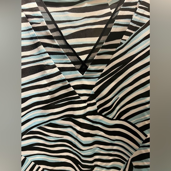 NEVER WORN,DKNY,ZEBRA PRINT,BLACK,WHITE,BABY BLUE,VNECK BLOUSE, SIZE L - Picture 4 of 6